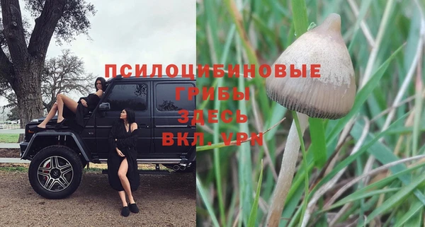 метамфетамин Аркадак