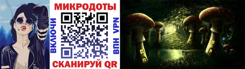 Галлюциногенные грибы ЛСД  мега ССЫЛКА  Петропавловск-Камчатский  что такое наркотик 