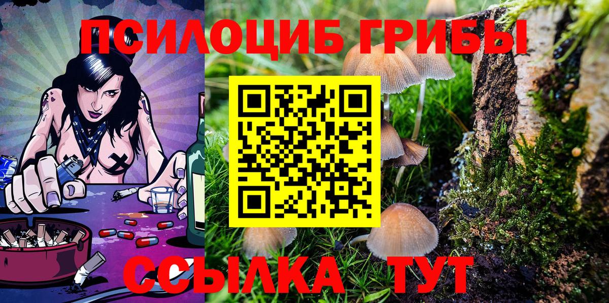 купить наркотики цена  Псилоцибиновые грибы прущие грибы  Псилоцибиновые грибы Cubensis  Вход с VPN  Петропавловск-Камчатский 