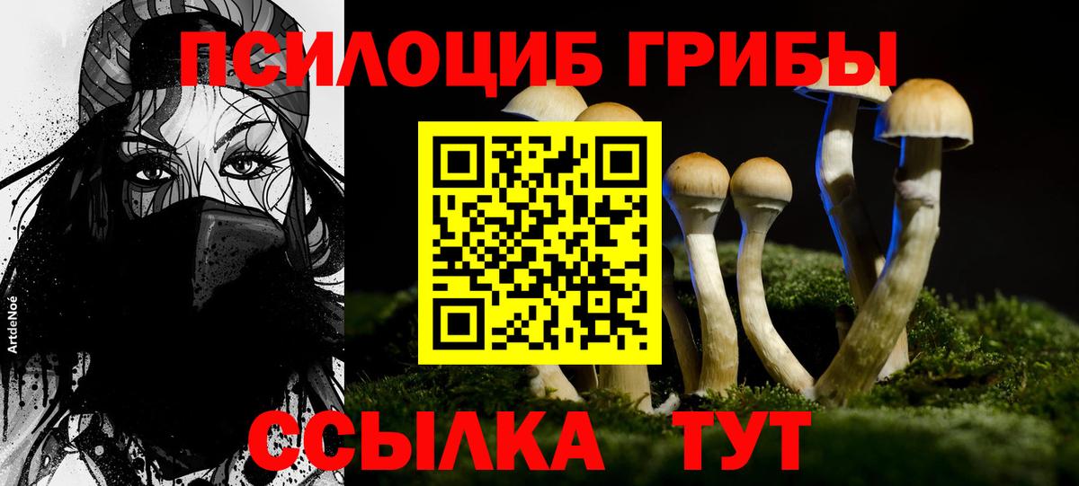 Галлюциногенные грибы Magic Shrooms Петропавловск-Камчатский