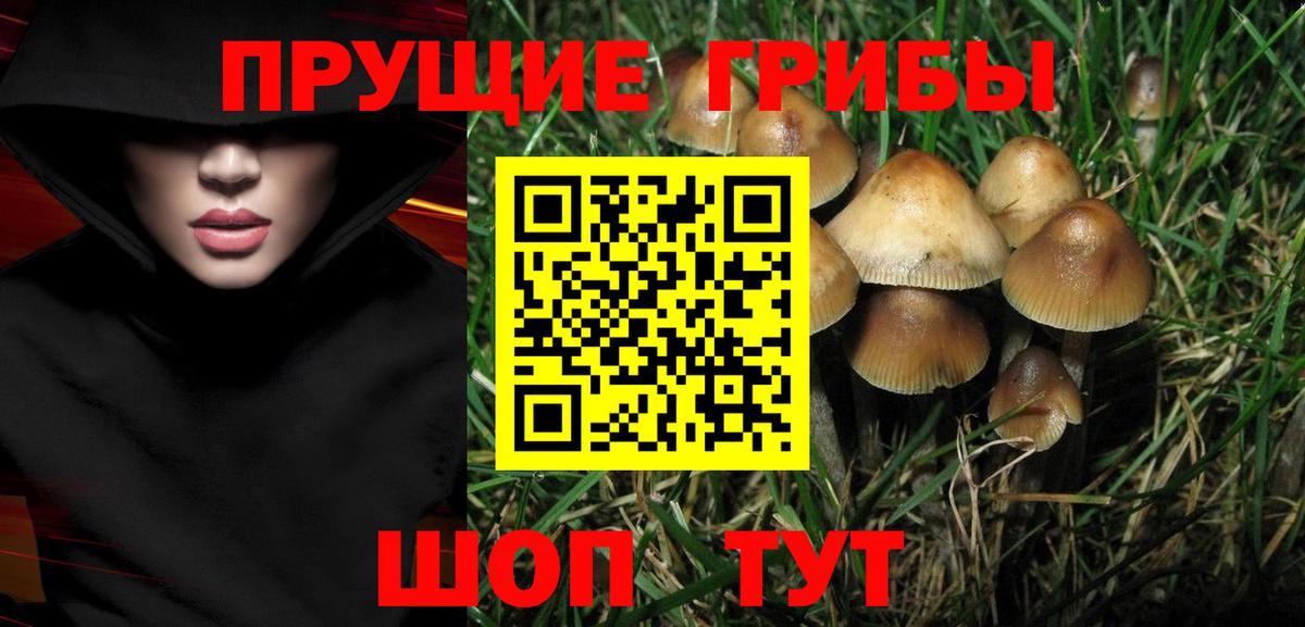 Канабис  ТГК  Петропавловск-Камчатский  Меф кристаллы  ГАШИШ  Кокаин  Вход с VPN 